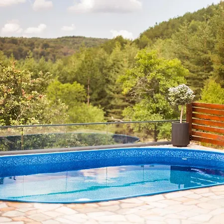 Divna Vila Villa Vrnjacka Banja